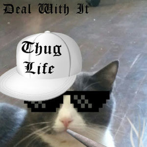 Meet your Posher, Sonny